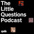 The Little Questions