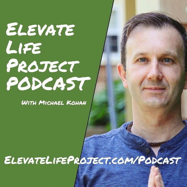 Artwork for Elevate Life Project