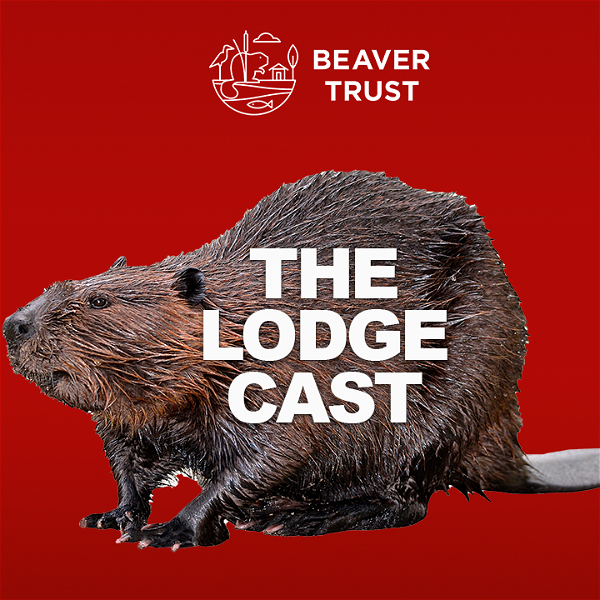 Artwork for The Lodge Cast