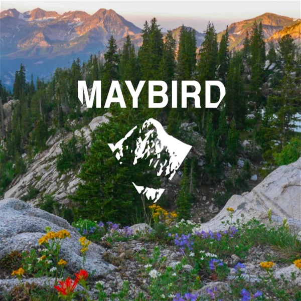 Artwork for The Maybird Cycling Podcast