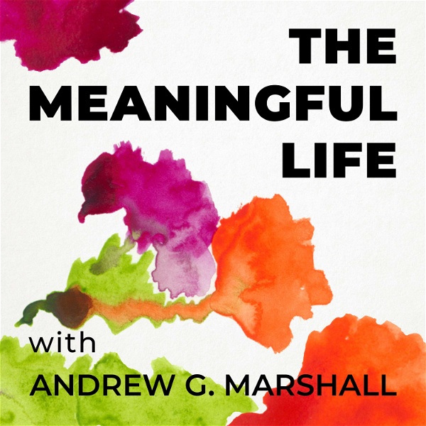 Artwork for The Meaningful Life