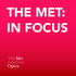 The Met: In Focus