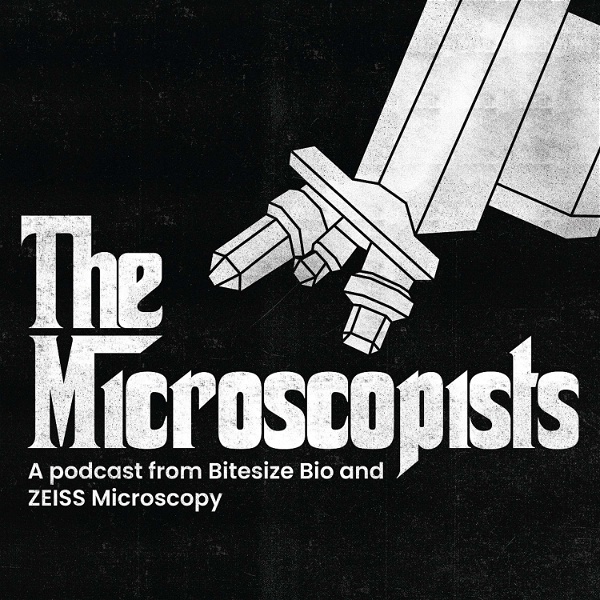Artwork for The Microscopists