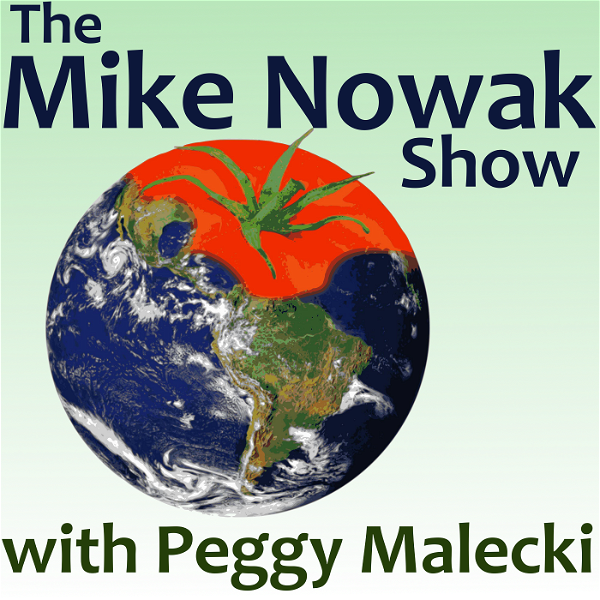 Artwork for The Mike Nowak Show