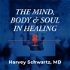 The Mind, Body and Soul in Healing