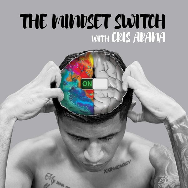 Artwork for The Mindset Switch