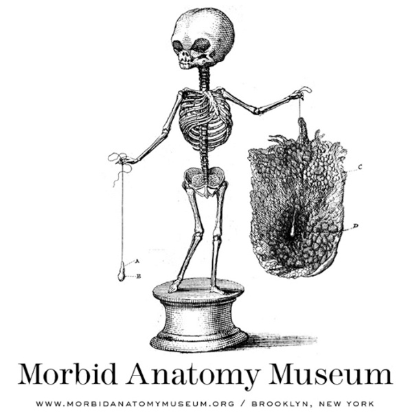 Artwork for The Morbid Anatomy Transmission