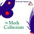 The Moth Collection