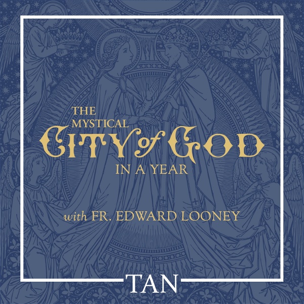 Artwork for The Mystical City of God in a Year