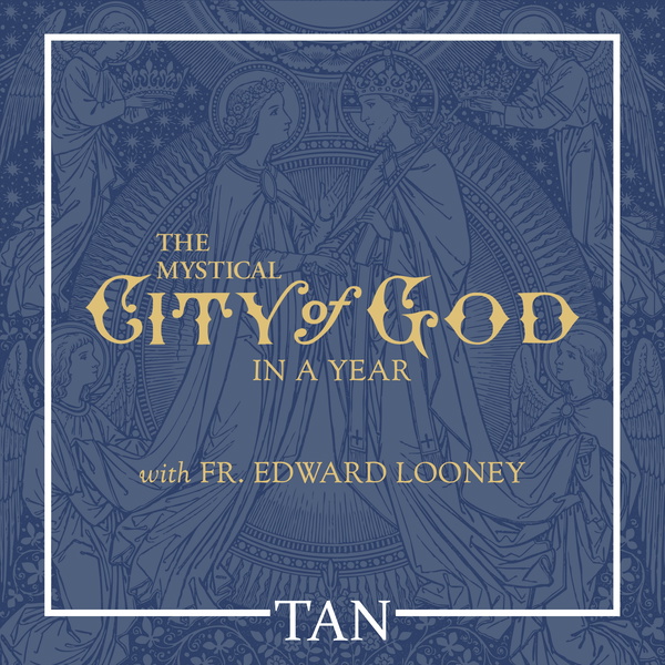 Artwork for The Mystical City of God in a Year