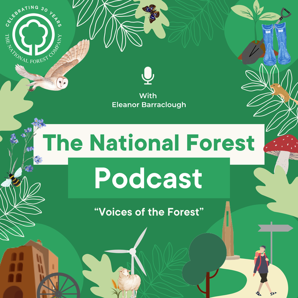 Artwork for The National Forest Podcast