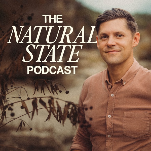 Artwork for The Natural State