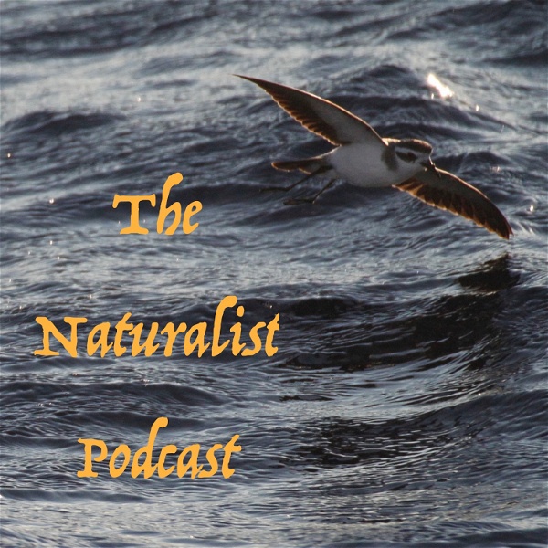 Artwork for The Naturalist Podcast