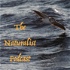 The Naturalist Podcast