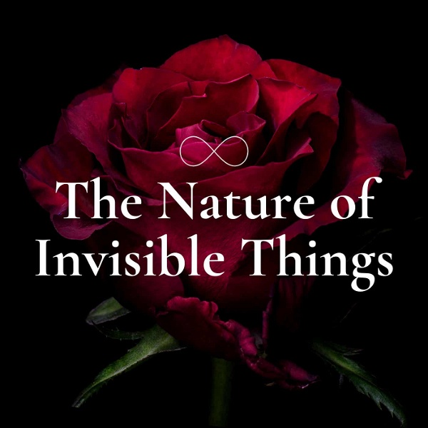 Artwork for The Nature of Invisible Things