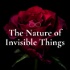 The Nature of Invisible Things
