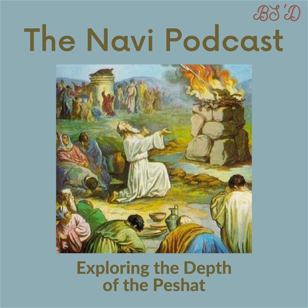 Artwork for The Navi Podcast