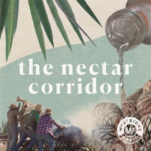 Artwork for The Nectar Corridor
