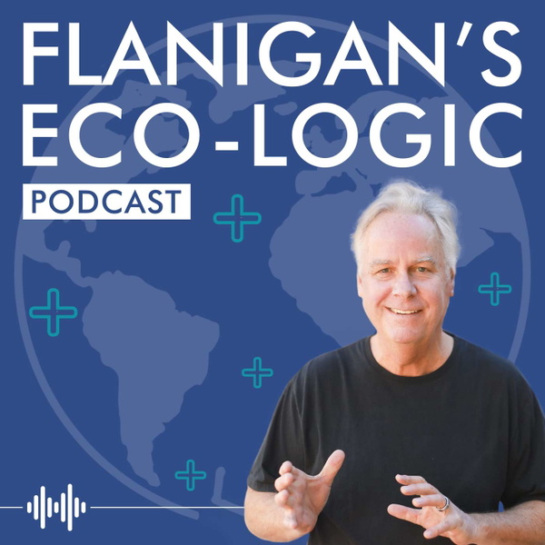 Artwork for Flanigan's Eco-Logic