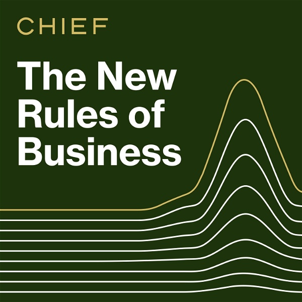 Artwork for The New Rules of Business