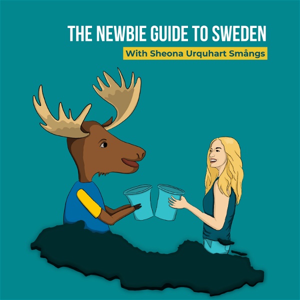 Artwork for The Newbie Guide to Sweden Podcast