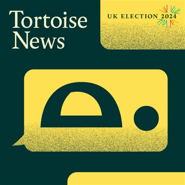 Artwork for Tortoise News