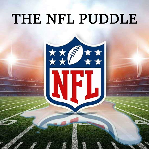 Artwork for THE NFL PUDDLE