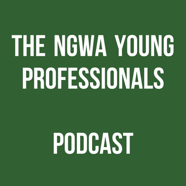 Artwork for The Ngwa Young Professionals Podcast
