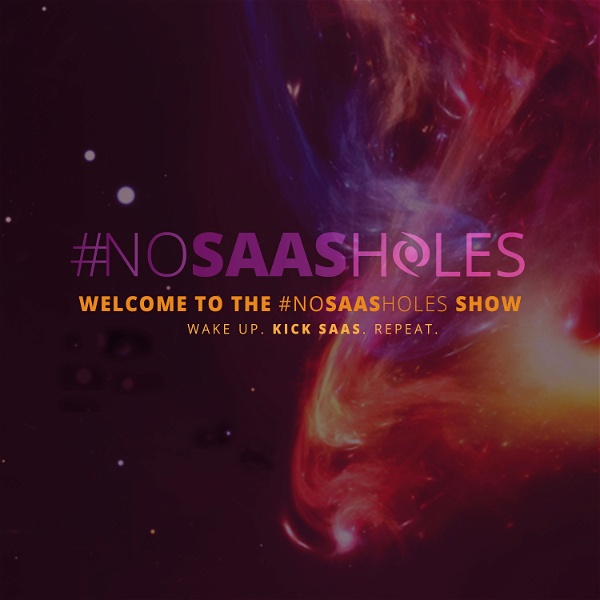 Artwork for The No SaaS Holes Show