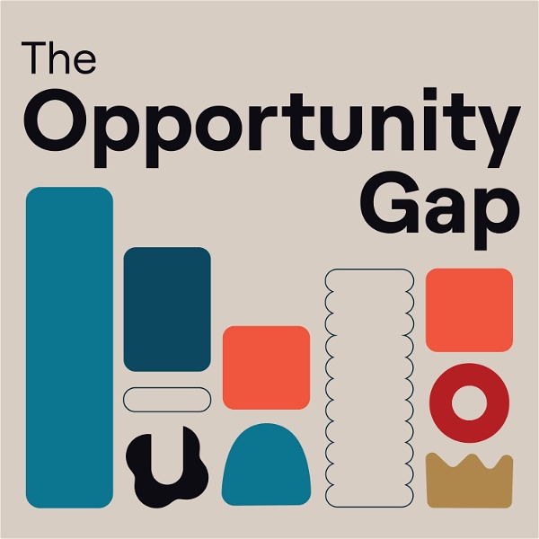 Artwork for The Opportunity Gap