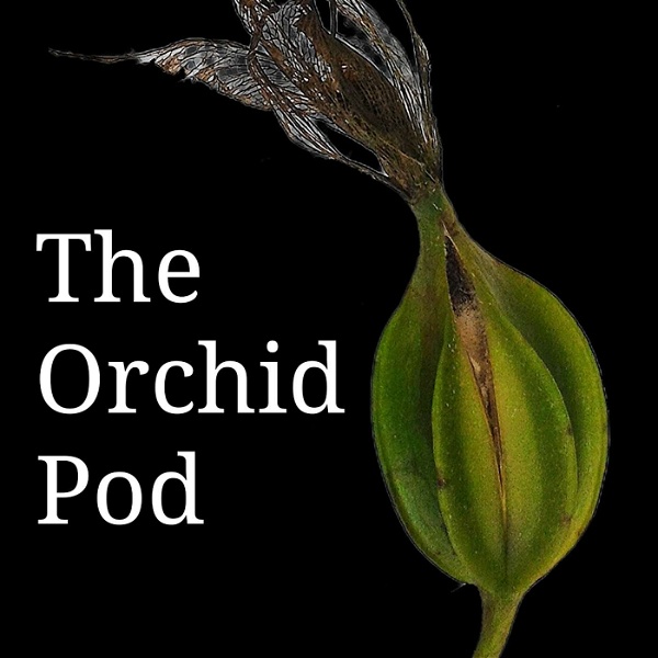 Artwork for The Orchid Pod