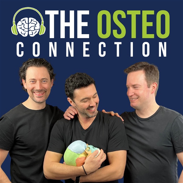 Artwork for The Osteo Connection