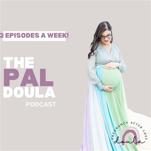 Artwork for The PAL Doula Podcast
