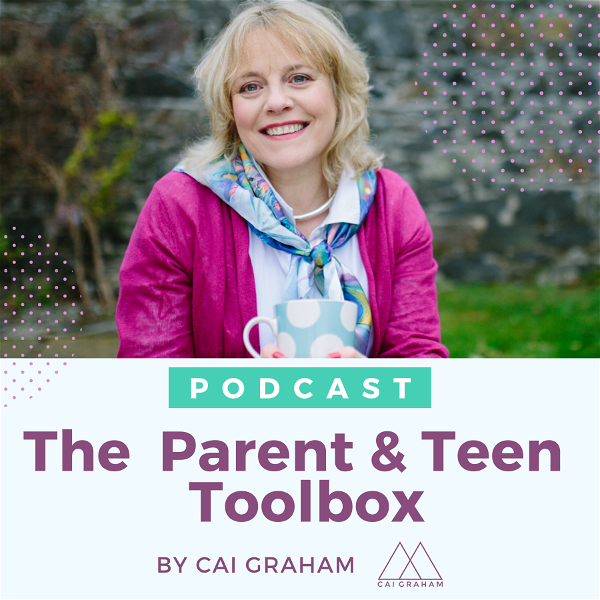 Artwork for The Parent & Teen Toolbox