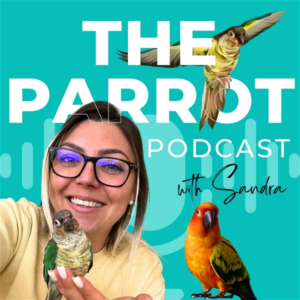 Artwork for The Parrot Podcast