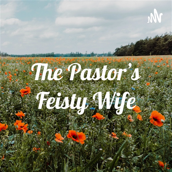 Artwork for The Pastor’s Feisty Wife