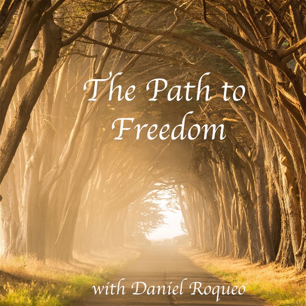 Artwork for The Path to Freedom