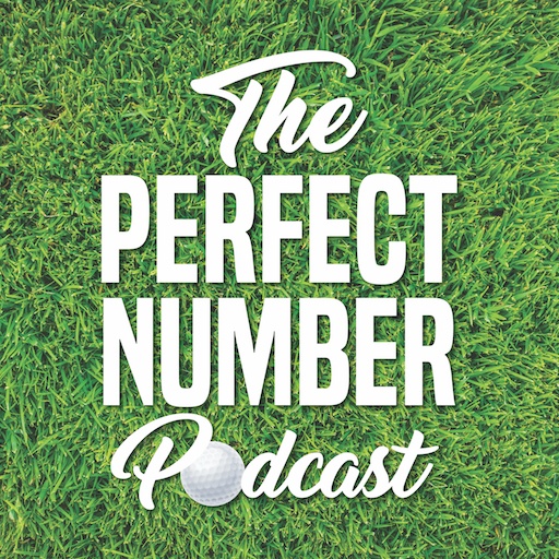 Artwork for The Perfect Number Podcast
