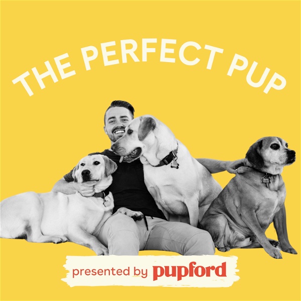 Artwork for The Perfect Pup