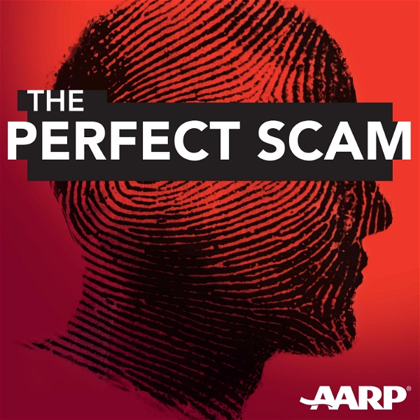 Artwork for The Perfect Scam