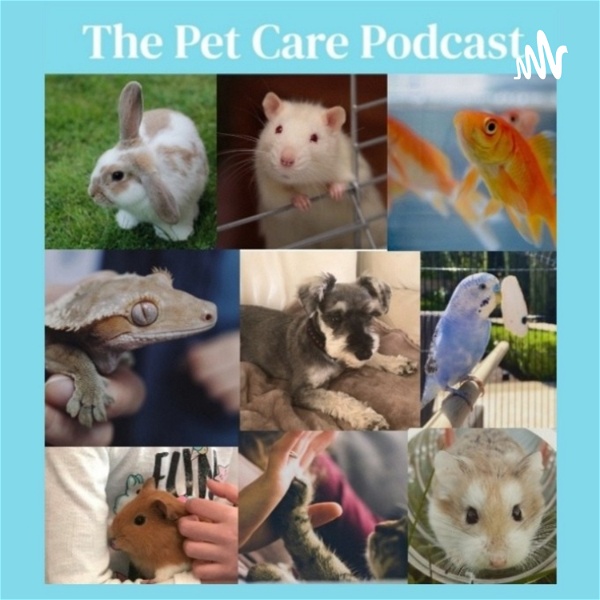 Artwork for The Pet Care Podcast