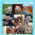 The Pet Care Podcast