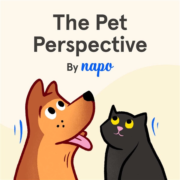 Artwork for The Pet Perspective by Napo
