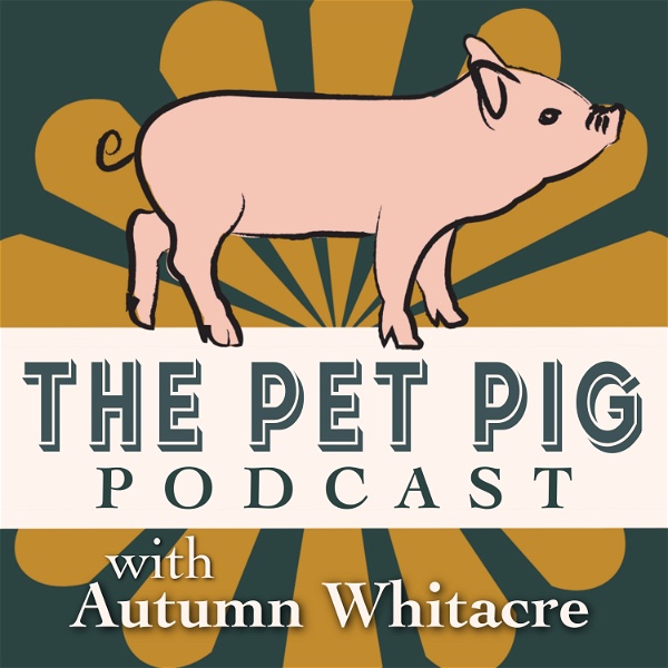 Artwork for The Pet Pig Podcast