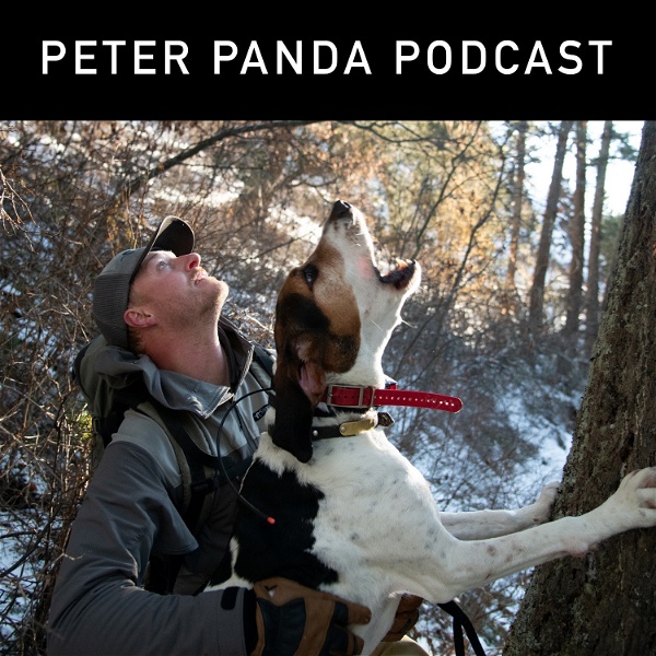 Artwork for Peter Panda Podcast