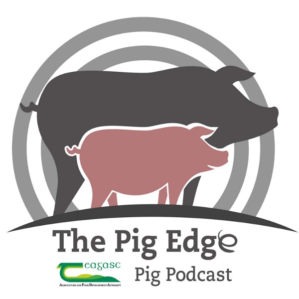 Artwork for The Pig Edge
