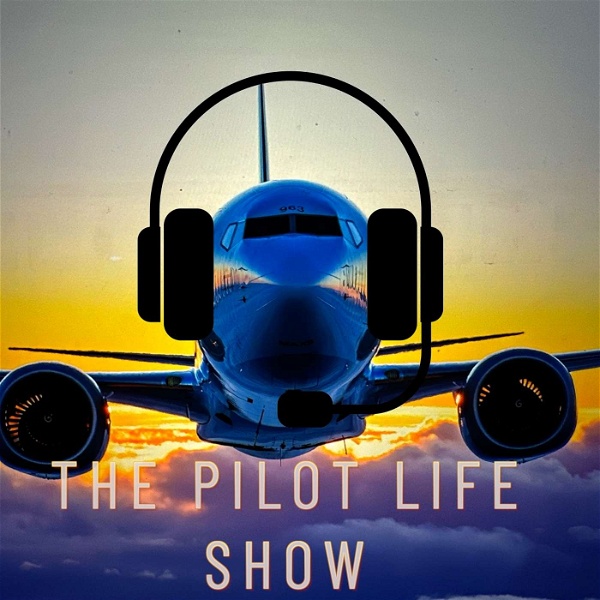 Artwork for The Pilot Life