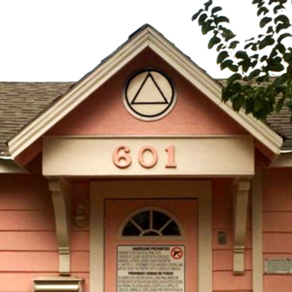 Artwork for The Pink House Chronicles