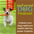 The Plant-Powered Dog Podcast
