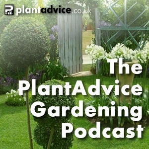 Artwork for The PlantAdvice Gardening Podcast